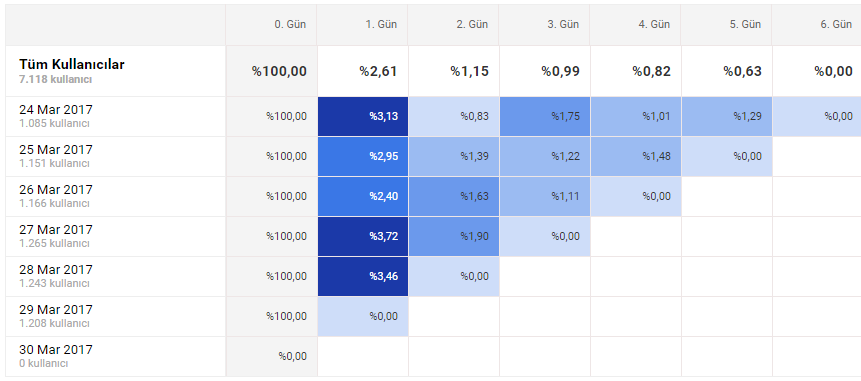 Kohort analizi örneği